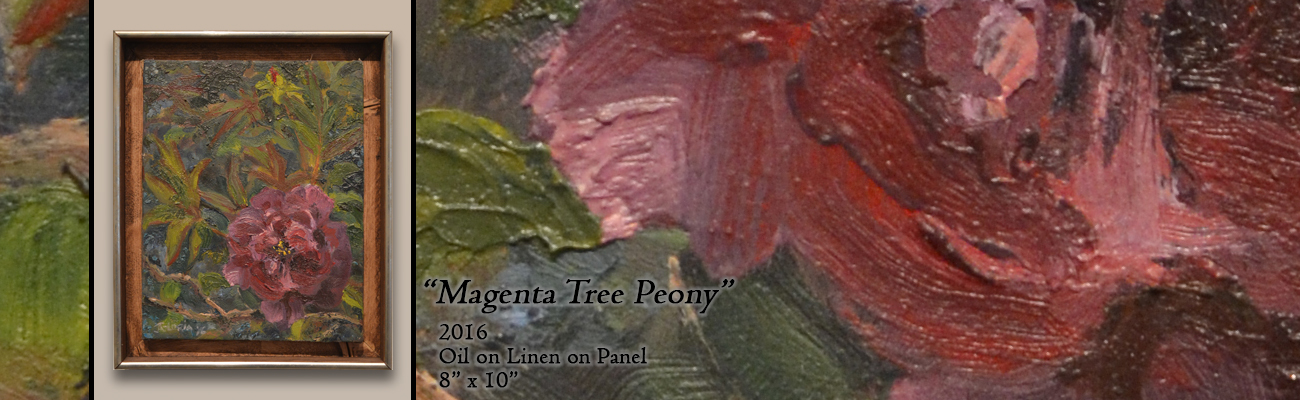 Oil Painting: Magenta Tree Peony